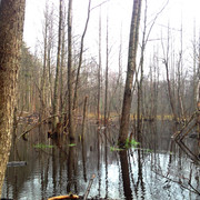 IMG-4482