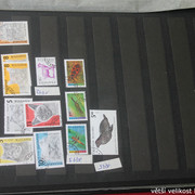 IMG-2454