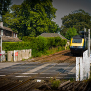 L1461412