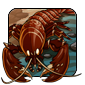 A red lobster