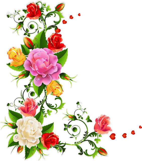 pngwing com (38).png