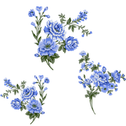 1092bc5b513ce5b5db0dcd476f379543