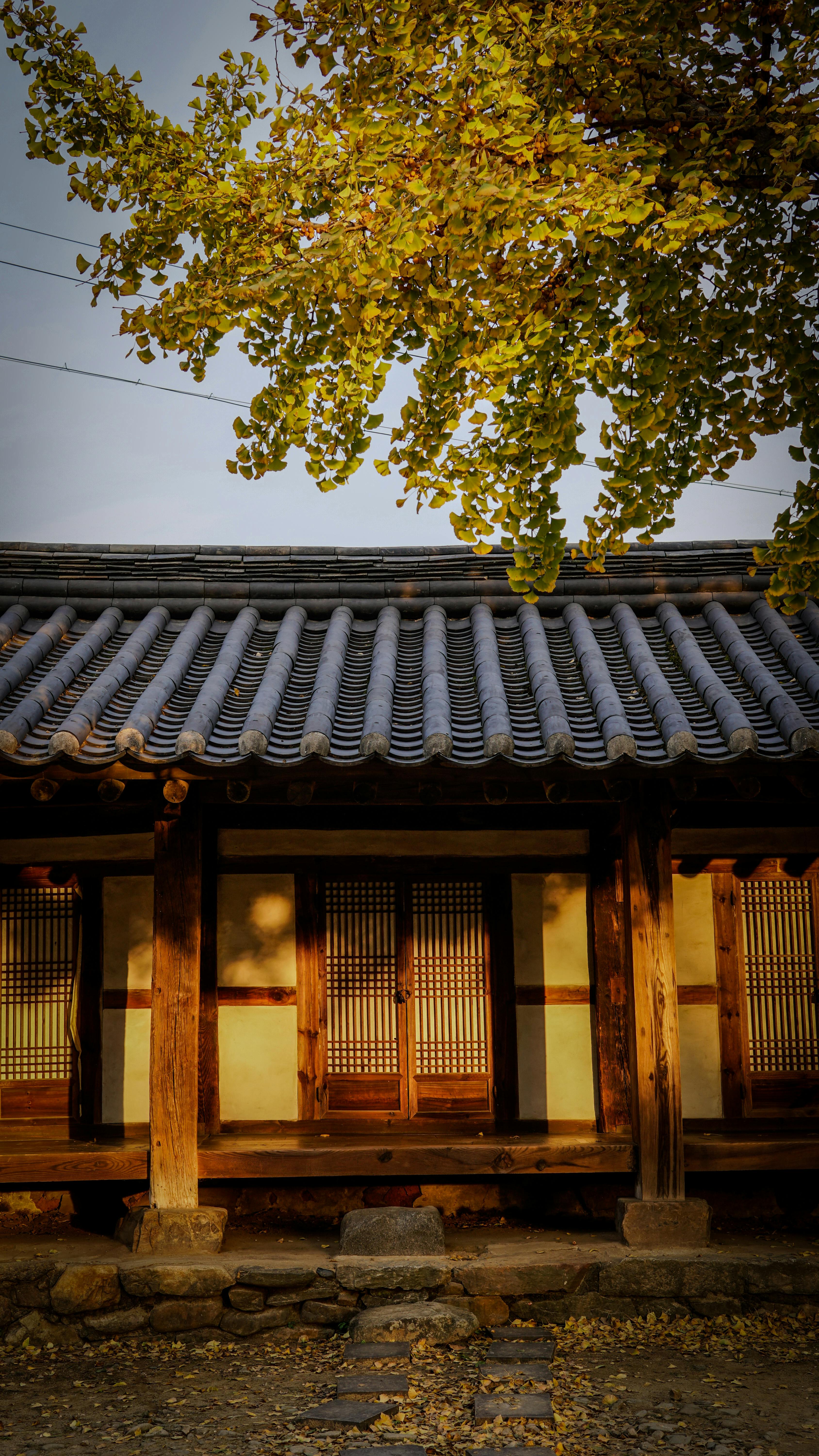 인생의 밑바닥에서 다시 일어서기, 직장인/사업자 개인회생 파산 성공 사례 분석 추가 자료