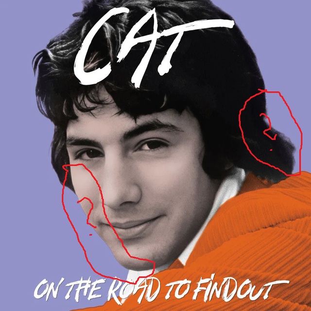 cat-purple