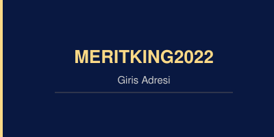 Meritking2022