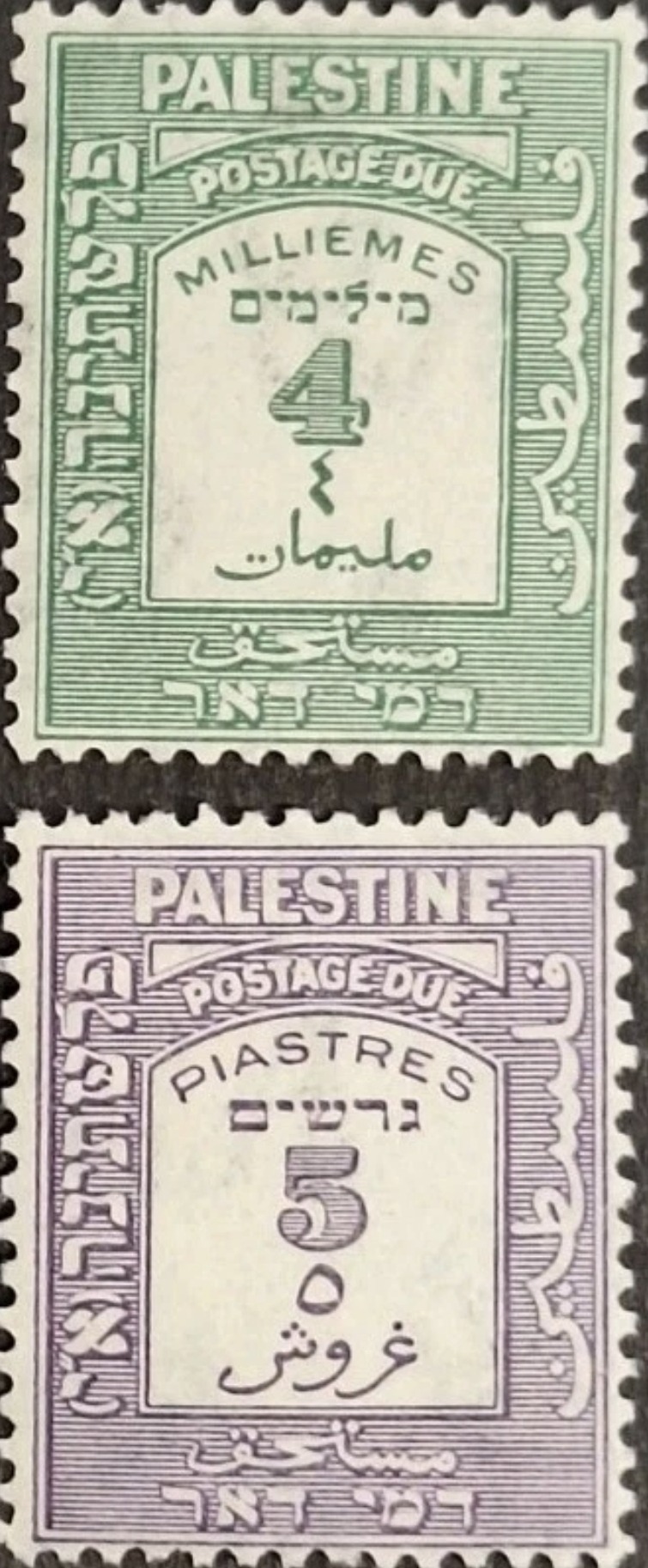 https://i.ibb.co/8DBjMDWH/1-ann1aa.jpg
