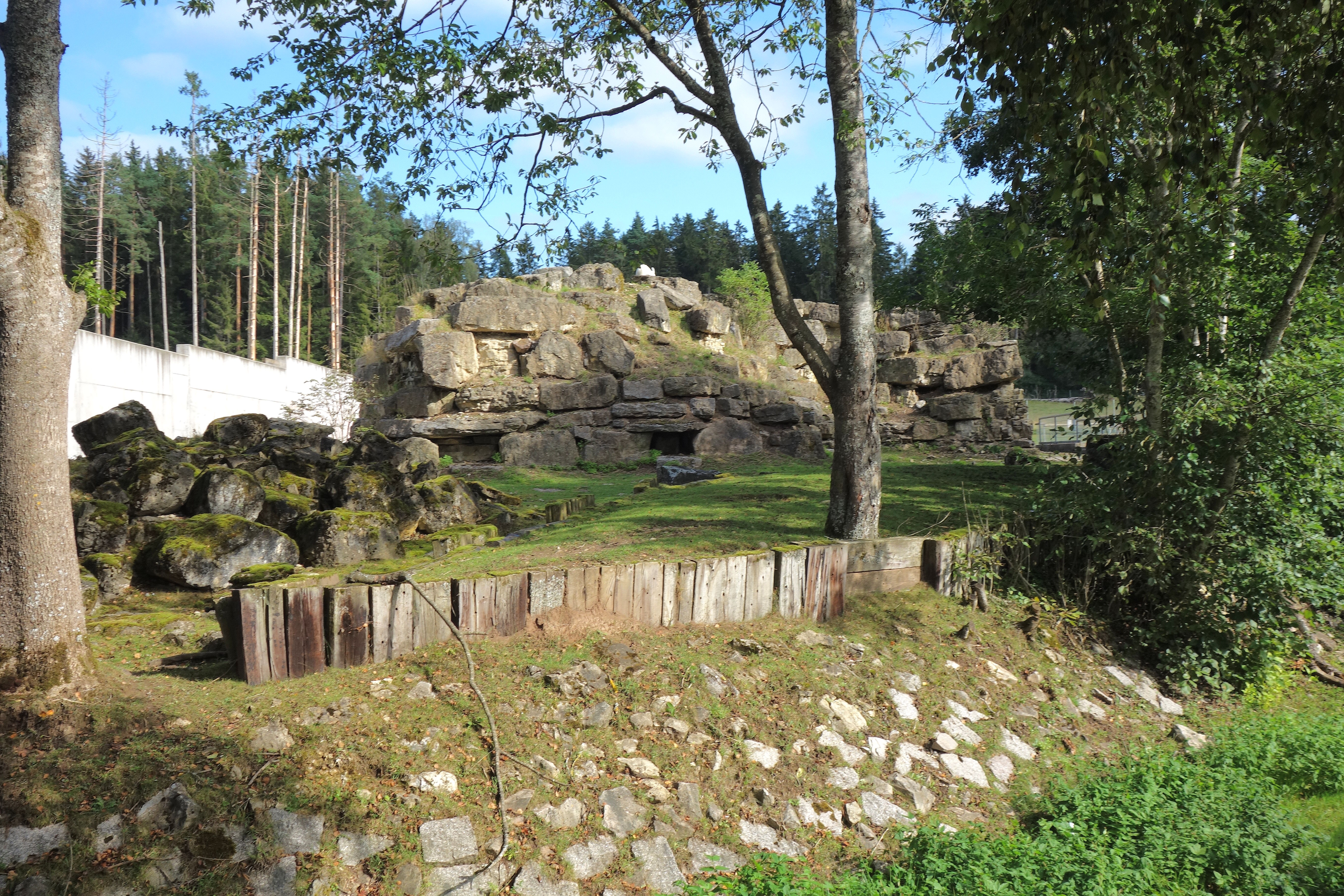 DSC09200