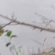 20170601 182410