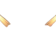 images-7-removebg-preview