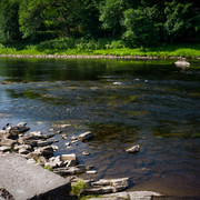 L1461345
