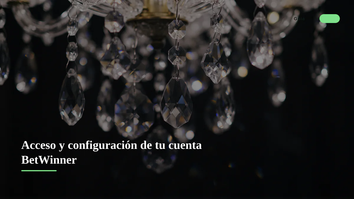 Acceso y configuración de tu cuenta BetWinner