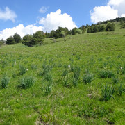 DSC04886