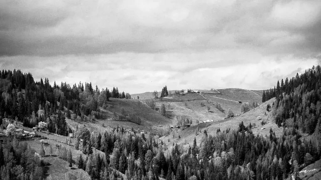 Dincolo de camera bebelușului: Cum să vă aliniați stilul de parenting înainte de a deveni părinți