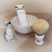 Proraso + Omega 10066