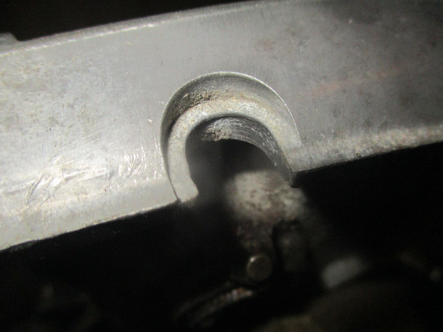 IMG-0123.jpg