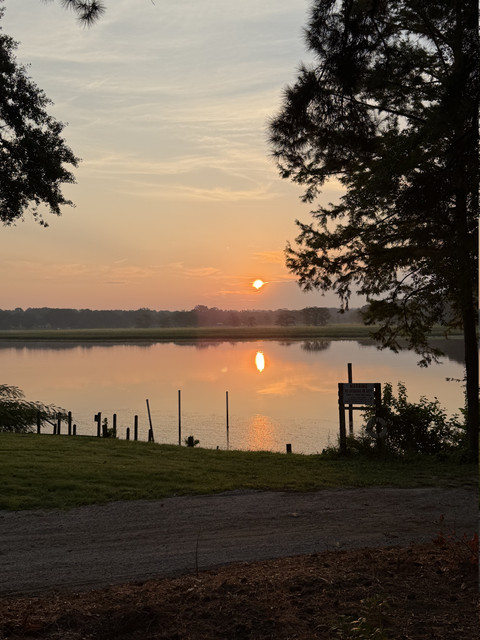 IMG-4653