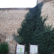 DSCF6292