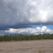 DSC00726