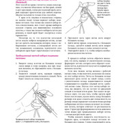Page-00063