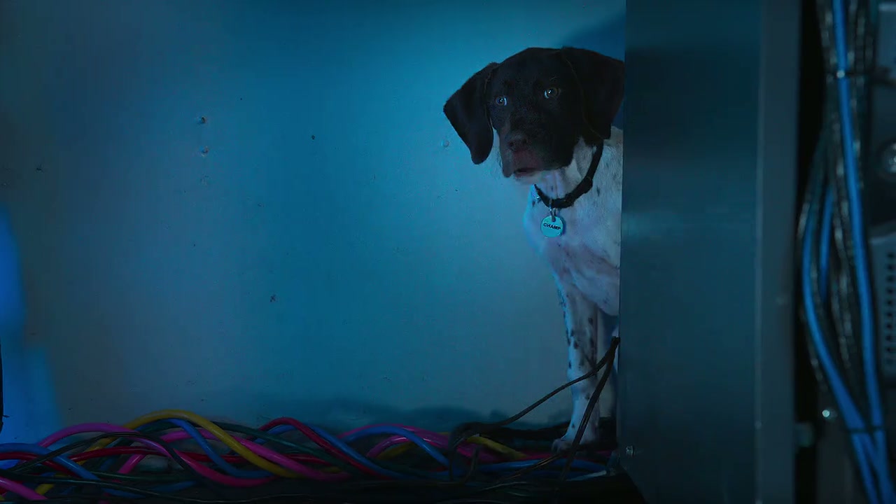 Super PupZ Screenshot