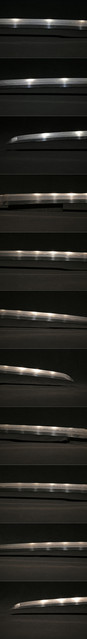 DSC3869