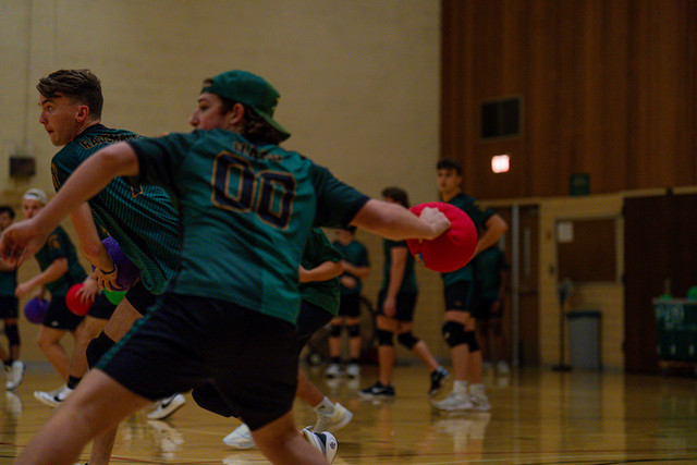 DSC04848.jpg