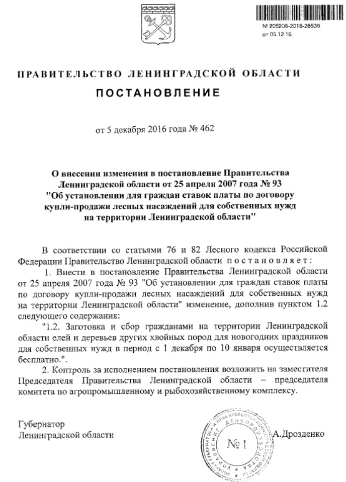 Заготовка Елей Для Новогодних Праздников