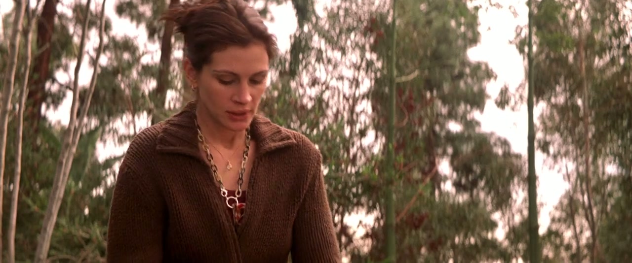 America's Sweethearts Screenshot
