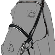 suitset13 1