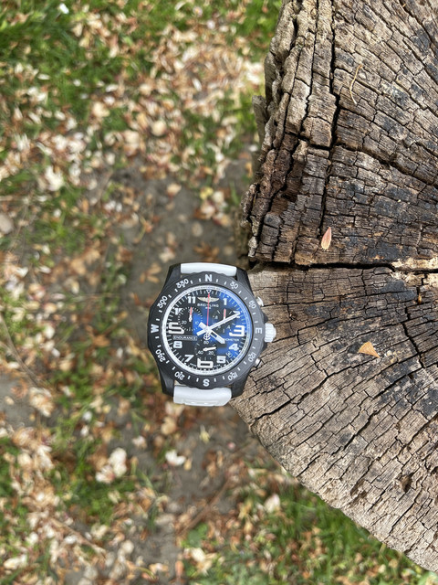 Nouvelle collection Endurance pro - Page 6 IMG-3976