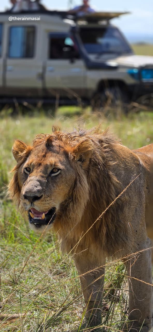 Maasai Mara moment