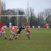 DSC 1406