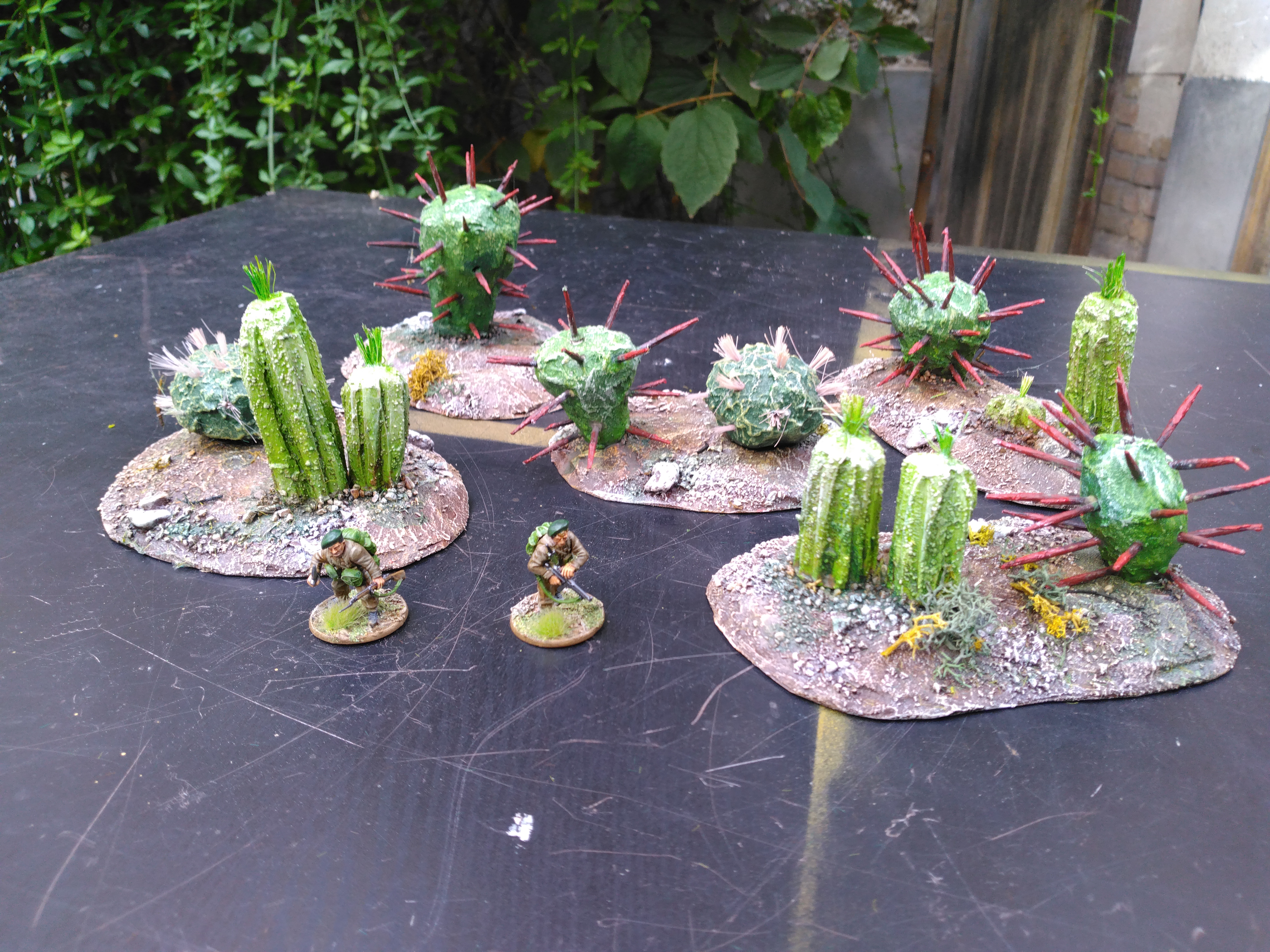 [Image: Cactus-1.jpg]