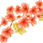 211