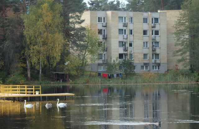 PA090479