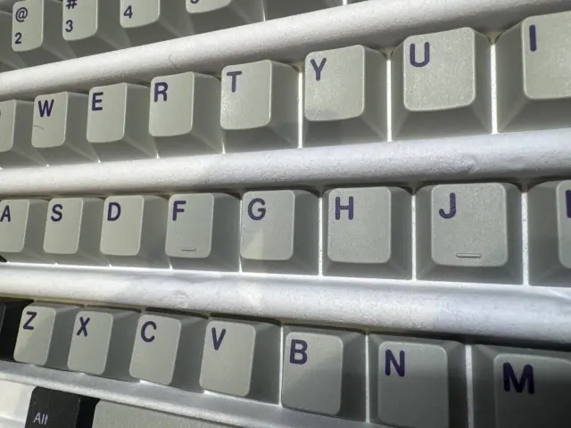 NTD4.webp