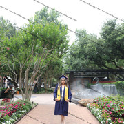 IMG 4526