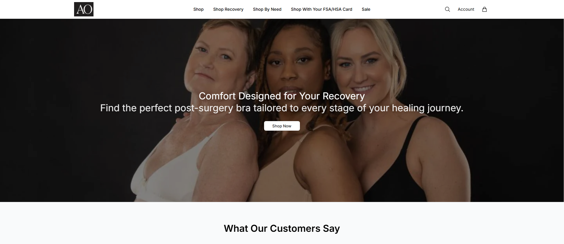 Stored capture of anaonocare.shop