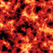 IMG 0642.gif