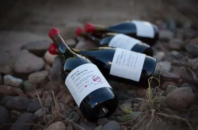Compuertas-bottles-in-vineyard