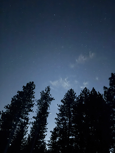 star night