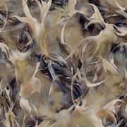 780b1b8564ab6533600381fc69cb8ed3