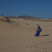 DSCF8519