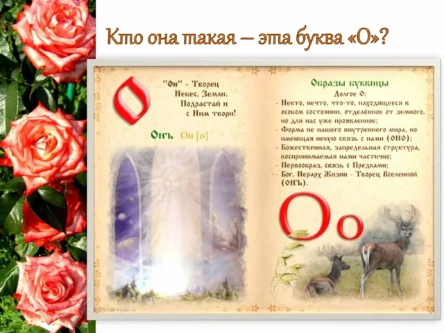 https://i.ibb.co/8DjZBPJ2/IMG-0924.jpg