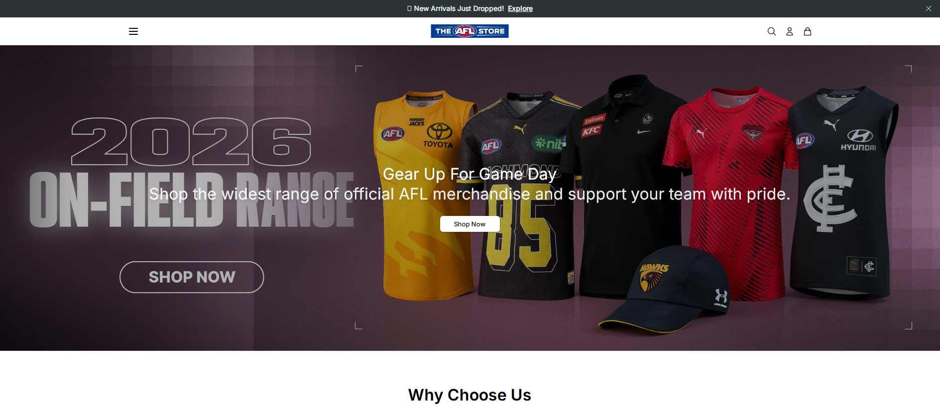 Stored capture of aflstoremerch.shop