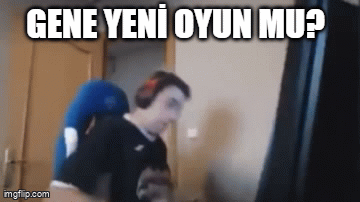 123213.gif