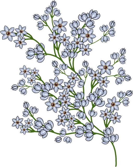 30679cf1aded20fce5417ddd1d86cccc.png