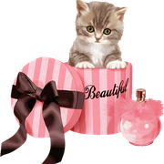 Woman-Accessories-2-28