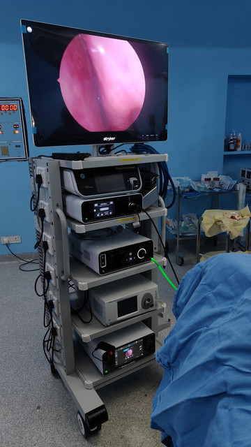 Endoscopy tower