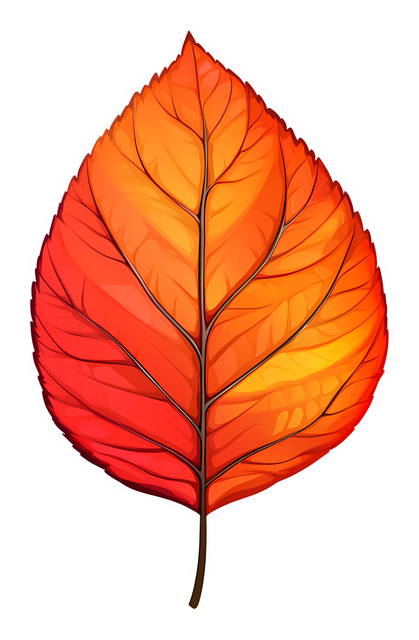 93f6183426178f3ecd4f920180dbc7e5-Copy.png